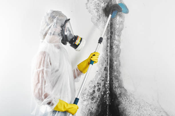 Best Indoor Air Quality Assessment  in Ruleville, MS