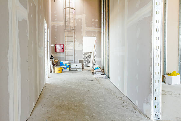 Best Mold Prevention Services  in Ruleville, MS